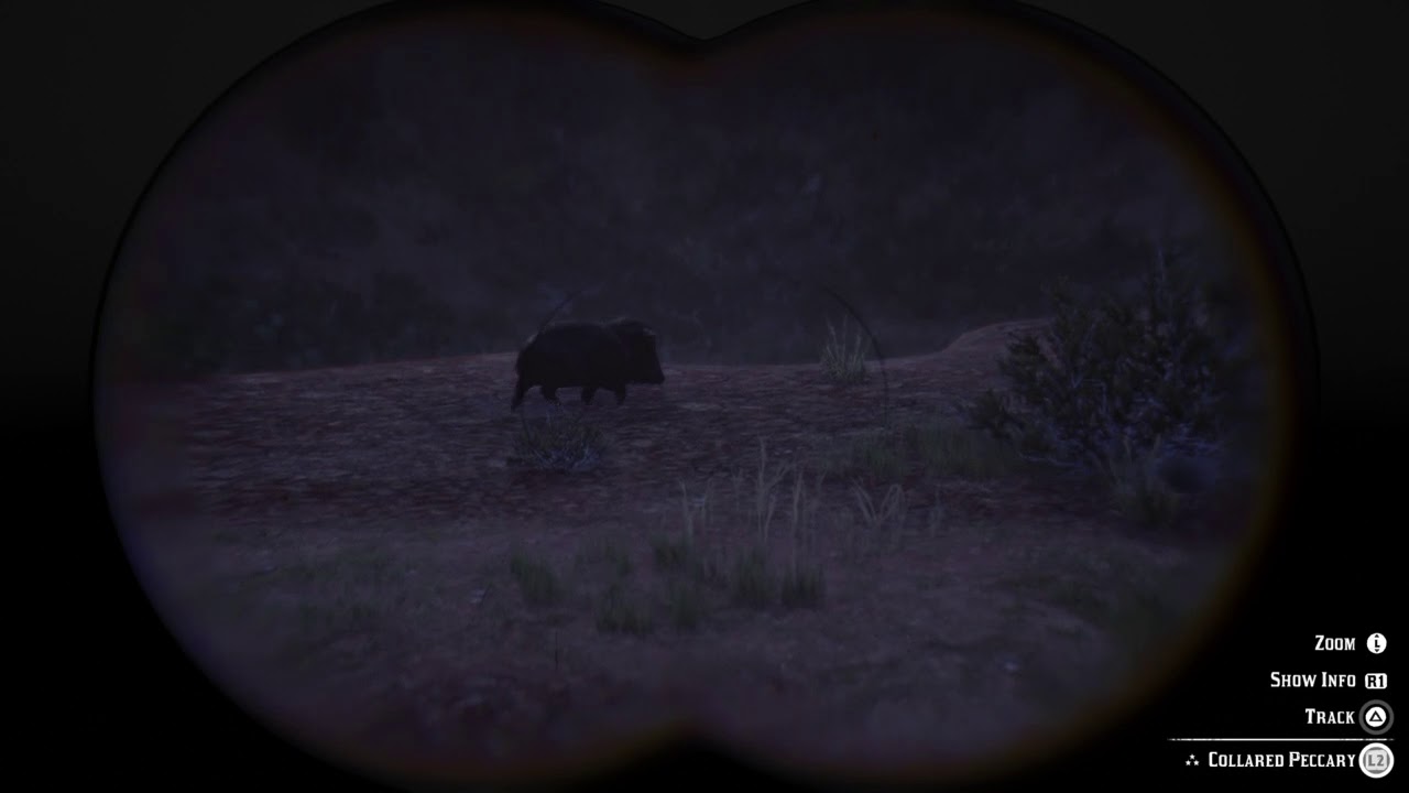 Red Dead Redemption 2 javelina poop YouTube