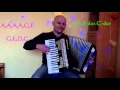 Avicii- Wake me up cover accordion TUTORIAL