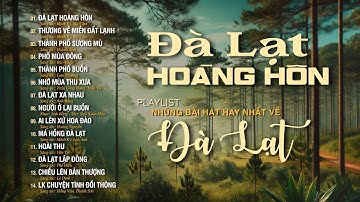 PLAYLIST ĐÀ LẠT HOÀNG HÔN & THƯƠNG VỀ MIỀN ĐẤT LẠNH - Những Ca Khúc Hay Nhất Về ĐÀ LẠT MÙA HÈ 2025