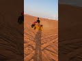 Dubai Desert Safari