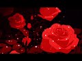 Zombies 2 We Own The Night Slowed Reverb Tiktok Remix 