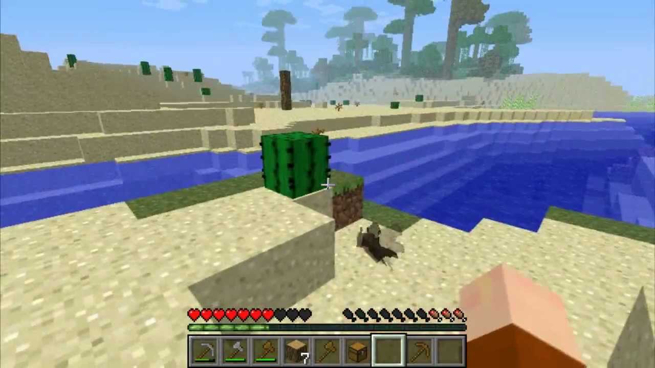 Minecraft: My first bat sighting! - YouTube