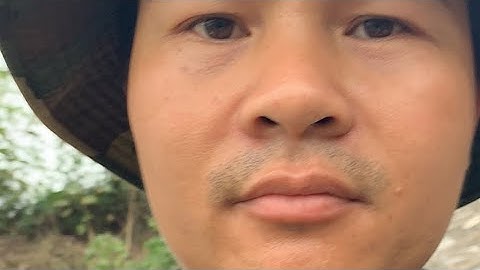 Mình đang câu hóng ở cống Hương Cẩm Văn Cẩm Giàng Hải Dương