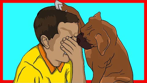 ¿Qué hacen los perros cuando confían en ti?