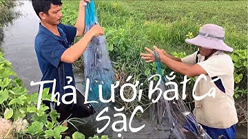Thả lưới bắt cá / Giăng lưới bắt cá sặc / Cá dính nhiều gỡ mỏi tay.
