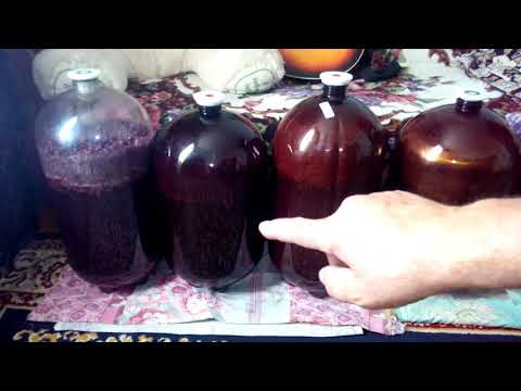Как приготовить самогон из винограда изабелла в домашних условиях