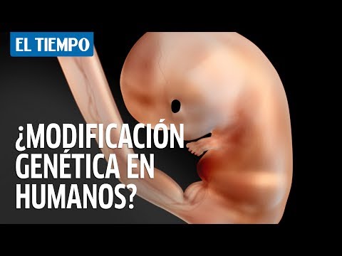 Vídeo: Los Bebés Genéticamente Modificados Son Casi Una Realidad - Vista Alternativa