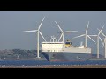 Scheepvaart op een zonnige ochtend bij Hoek van Holland - Rotterdam #221