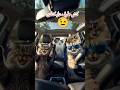 آهنگ بیا بوری هزارستو اگه شد