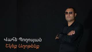 Vahe Poghosyan- Ekeq Axotenq (Hayk Sargsyan cover)2023