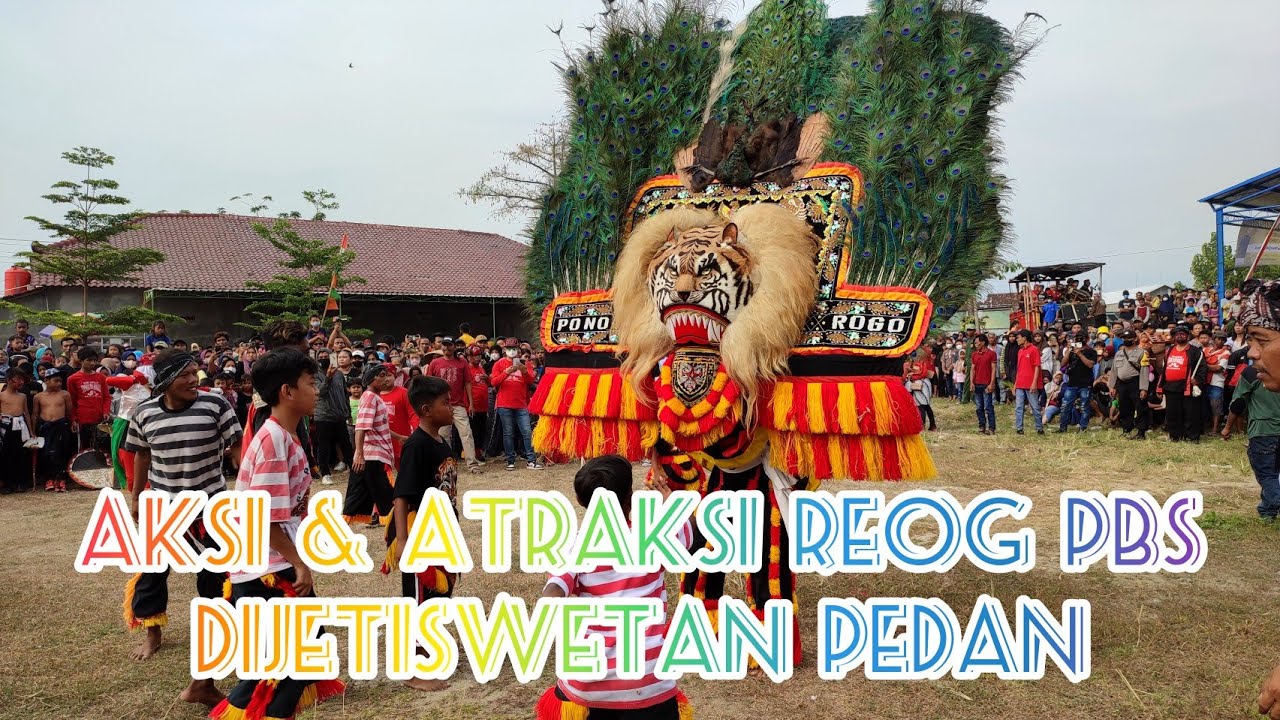 AKSI & ATRAKSI REOG SINGO KURDHO PBS DISIMPANGLIMA JETISWETAN PEDAN || KARNAVAL JETISWETAN REOG PBS
