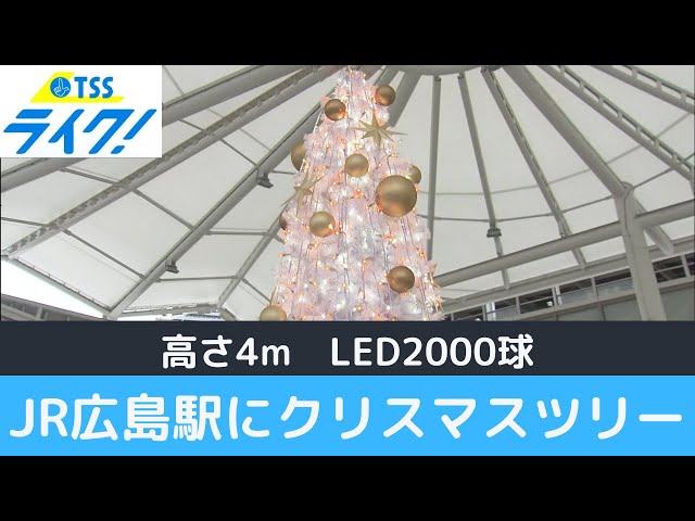 カラフルなクリスマスツリー‼️しらたま‼️ カラフルなクリスマス