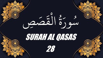 محمد الفقية - سورة القصص (28)