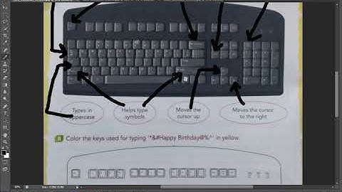 STD 2 / COMPUTER / 3. MORE ABOUT KEYBOARD / EXERCISE / AMIT PARMAR / 3-8-2021