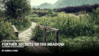 Bjørn Lynne - Further Secrets of the Meadow (No Drums or Bass version)