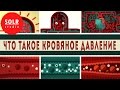 Что есть кровяное давление? - Wilfred Manzano (SOLR озвучка)