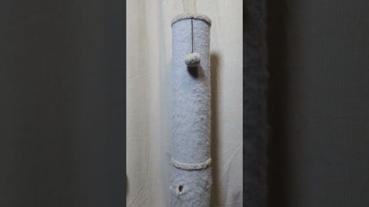 #cats #cattok #tiktokshopcreatorpicks #tiktokshopblackfriday #tiktokshopcybermonday