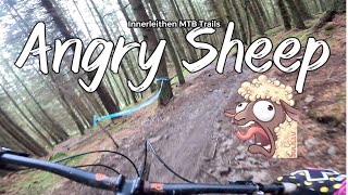 Angry Sheep - Innerleithen Swoopy Natural Flow Trail Black Graded #mtb #mtbscotland #strava