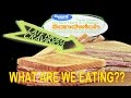 Great Value Triple Decker Grilled Ham & Cheese Sandwich - WHAT ARE WE EATING?? - The Wolfe Pit