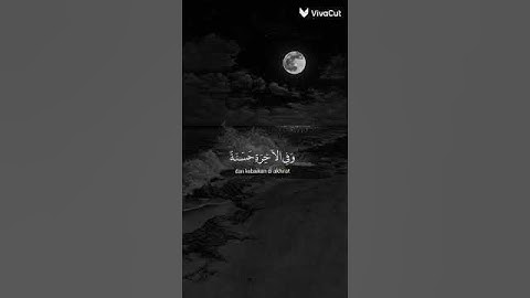 #اكسبلور #المصحف #لايك #القارئ #راحة_نفسية ❤❤