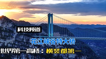 世界第一高桥贵州花江峡谷特大桥通车，外网热议：美得像AI！#超级工程 #花江峡谷特大桥#世界桥梁看中国#中国桥梁看贵州#世界之最