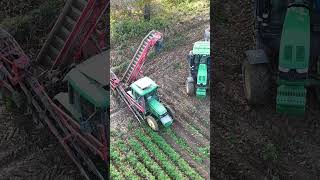 kopanie marchwi 2025 #johndeere #fendt #dewulf #automobile #farming #oporowocałodobowo #carrots