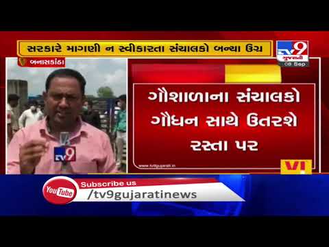 Banaskantha: Gaushala owners threaten protest, demand to resolve issues| TV9News