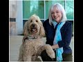 How the Family Justice Center uses Collaborative Efforts to Combat Domestic Violence and Abuse