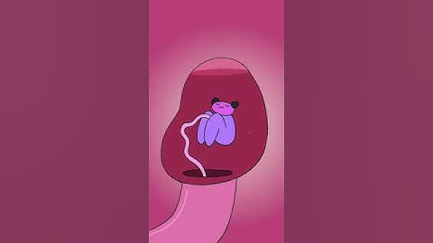 A CAPRICORN?! #Shorts