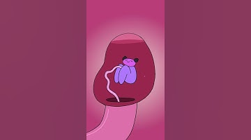 Thumbnail of A CAPRICORN?! #Shorts