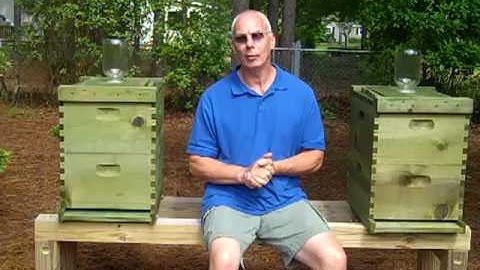 Why Keep Bees? + Intro To: Beekeeping 101 (1st yr. Video Diar