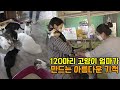 120마리 길고양이 구조해 돌보는 자매 "아이들이 평생 가족 만났으면..."