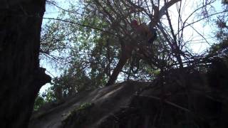 VID00011