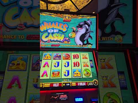 David Lee Roth "You really got me" 8/6/2025 @ Hard Rock Casino Bristol Va.