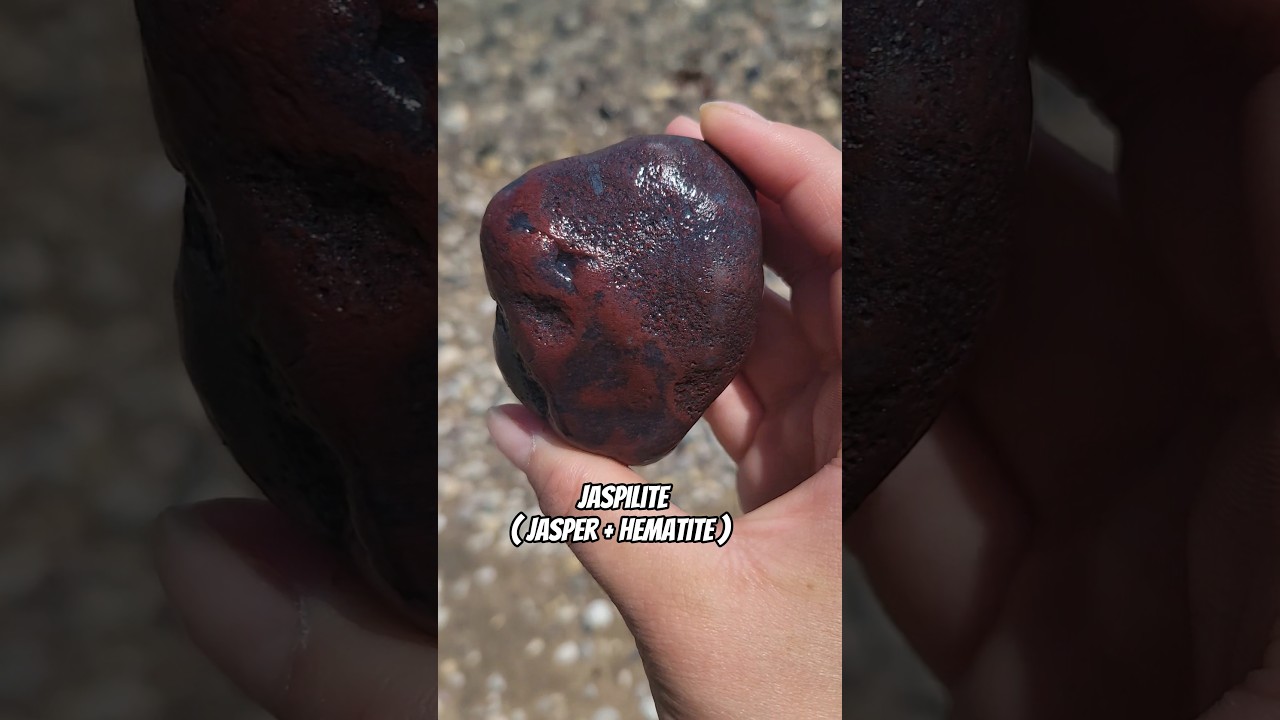 We found Jaspilite! (Jasper + Hematite) 