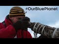 What Does It Take To Be A Blue Planet II Cameraman? #OurBluePlanet | BBC Earth
