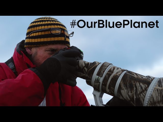 What Does It Take To Be A Blue Planet II Cameraman? #OurBluePlanet | BBC Earth class=