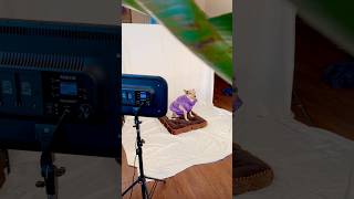 Behind the scenes 🥰