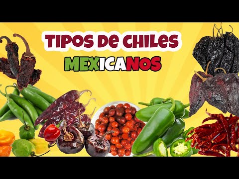 Video: Todo Lo Que Necesita Saber Sobre Los Chiles Verdes De Nuevo México