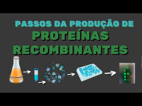 Vídeo: O que são produtos recombinantes?