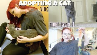 I ADOPTED A CAT! + CAT HAUL| VLOG |