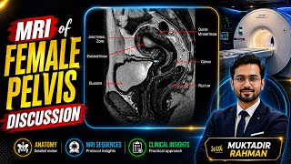 Pelvic MRI Complete Guide: Anatomy, Findings &amp; What to Expect