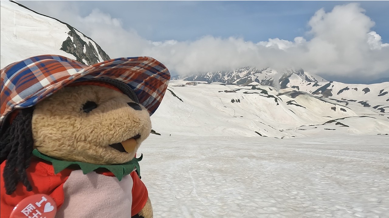 山山 Tateyama Backcountry XC] 5/26/2026 (Tue) Skiing and climbing at