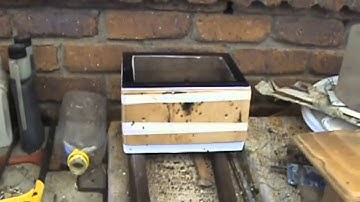 Splitting a Stingless Native Beehive: My Strategy.