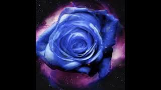 Z·TAO-黄子韬 Misunderstand