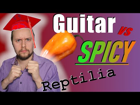 guitar-vs-spicy---reptilia---the-strokes