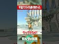 空島の更に上の宇宙に行こうとするバカ主人公『ゼルダの伝説ティアーズオブザキングダム』 #shots