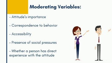 CHAPTER 3: ATTITUDES AND JOB SATISFACTION