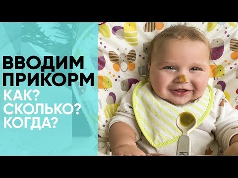 ВВОДИМ ПРИКОРМ. Основные правила прикорма. Чего делать нельзя? Ника Болзан.