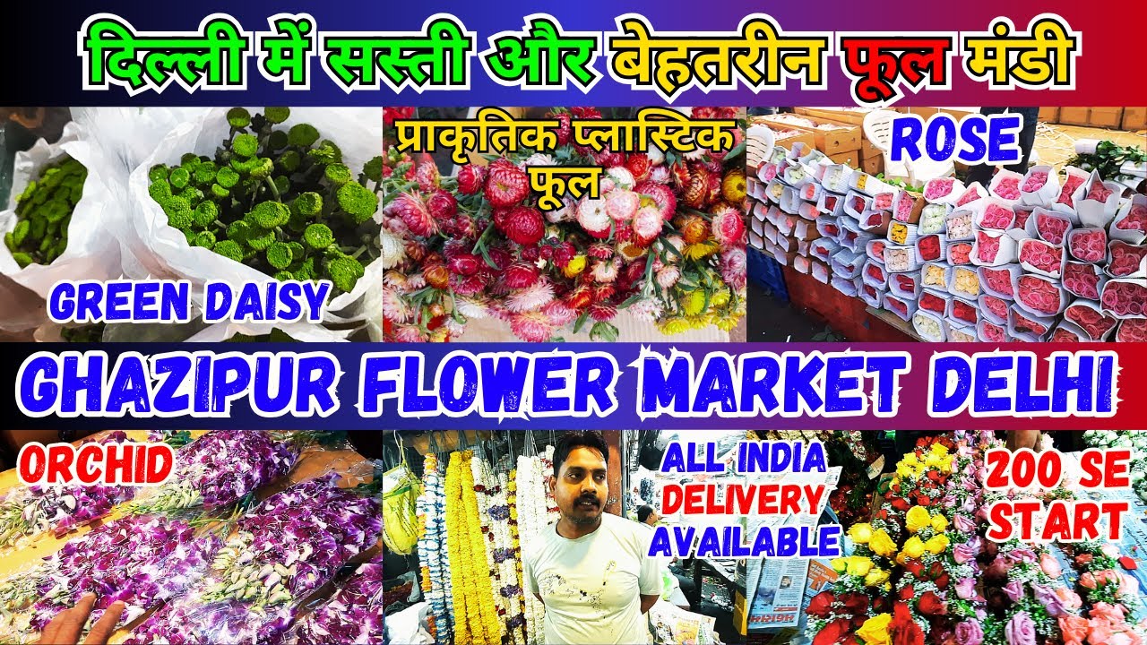 Ghazipur Flower Market Delhi green daisy,red rose, orchid 